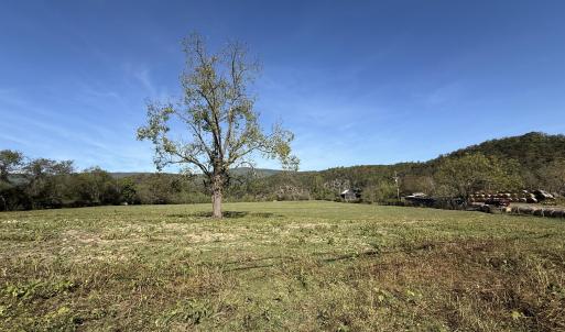upper pasture