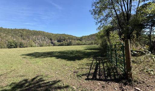 Back Pasture