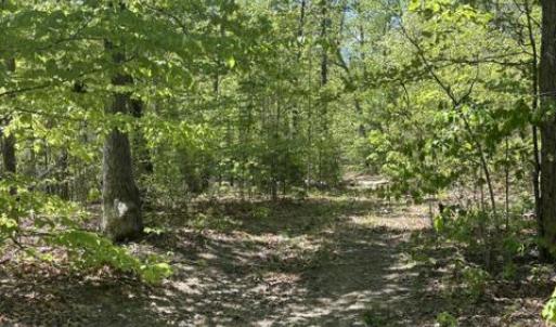 Photo #1 of DAVIS LN, ARODA, VA 75.7 acres
