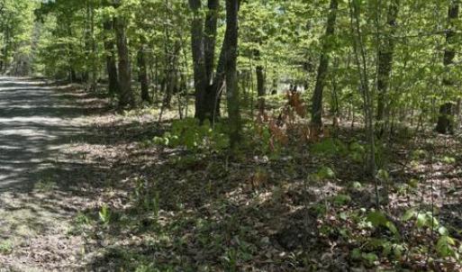 Photo #3 of DAVIS LN, ARODA, VA 75.7 acres