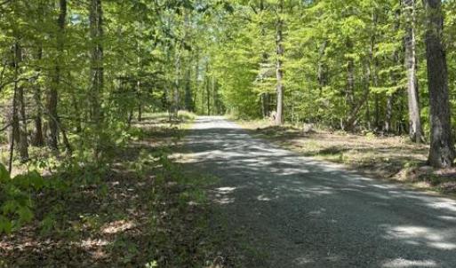 Photo #2 of DAVIS LN, ARODA, VA 75.7 acres