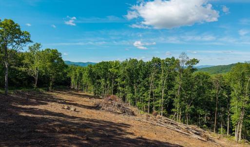 Photo #27 of CROSS MOUNTAIN RD, LURAY, VA 6.2 acres
