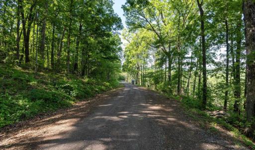 Photo #31 of CROSS MOUNTAIN RD, LURAY, VA 6.2 acres