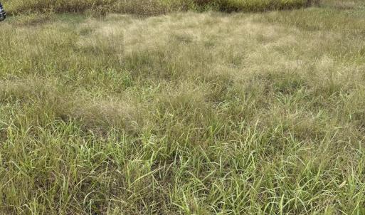 Photo Sep 26 2025, 12 15 23 PM