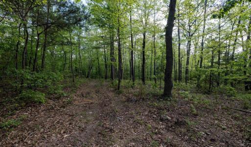 Photo #36 of CROSS CREEK RD, LURAY, VA 0.9 acres