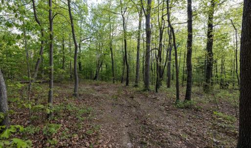 Photo #37 of CROSS CREEK RD, LURAY, VA 0.9 acres