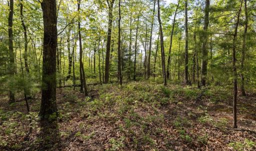 Photo #4 of CROSS CREEK RD, LURAY, VA 0.9 acres
