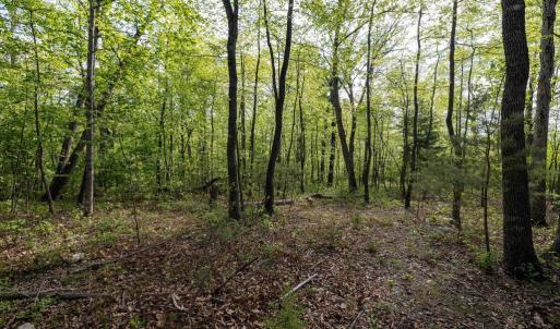 Photo #38 of CROSS CREEK RD, LURAY, VA 0.9 acres
