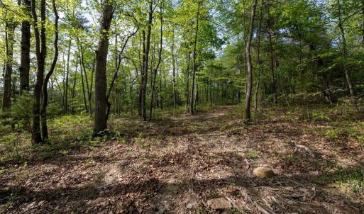 Photo #39 of CROSS CREEK RD, LURAY, VA 0.9 acres
