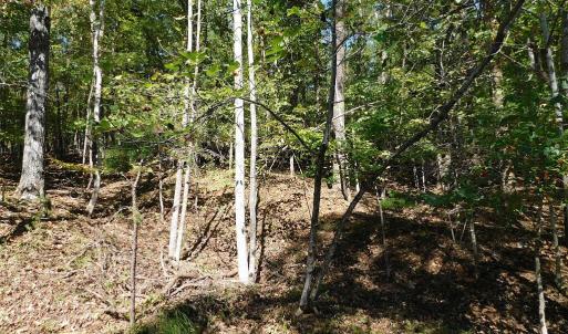 Lot 24 Cedar Bluff Ln