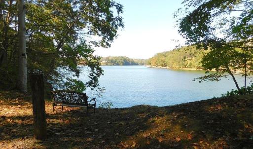 Bench and Lake View