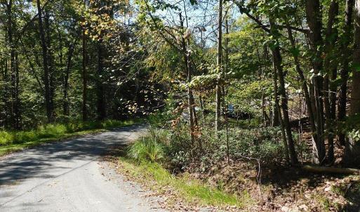 Pic #6 - Curve in Road - Lot to right