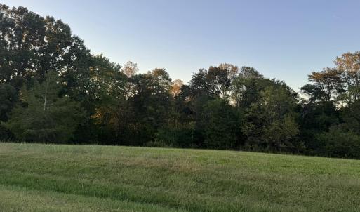IMG_2770