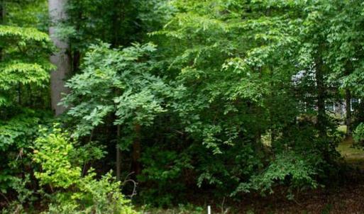 Photo #4 of 5 OAK HAVEN DR, MINERAL, VA 1.6 acres