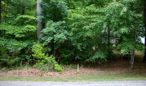 Photo #5 of 5 OAK HAVEN DR, MINERAL, VA 1.6 acres