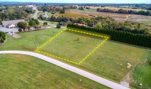 Lot 5
