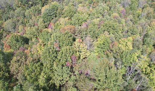 DJI_0226