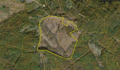 Dingler aerial 3