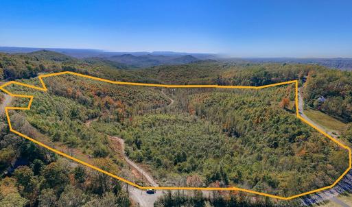 Dingler boundary line pic