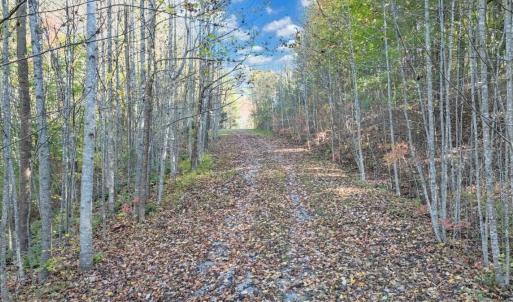 DJI_20251023034503_0260_D