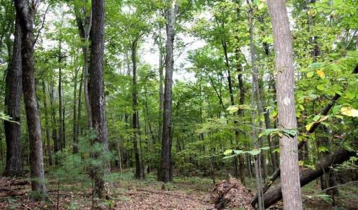 5829 Bradshaw Rd. 2017101015551715291300