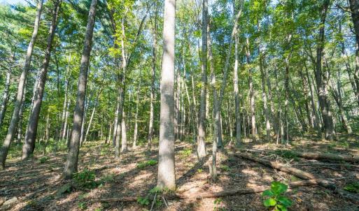 Image 10-26-25 at 2.41PM