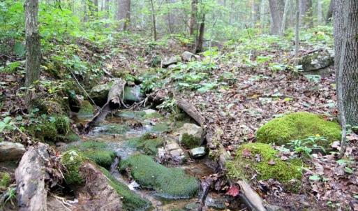 5829 Bradshaw Rd. 2017101015551684616000