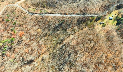 09-DJI_20251112102428_0042_D