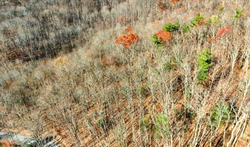 14-DJI_20251112102650_0047_D