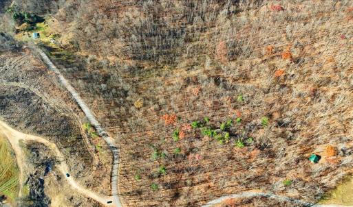 06-DJI_20251112102259_0039_D