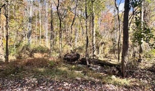 20251027190811547758000000-o