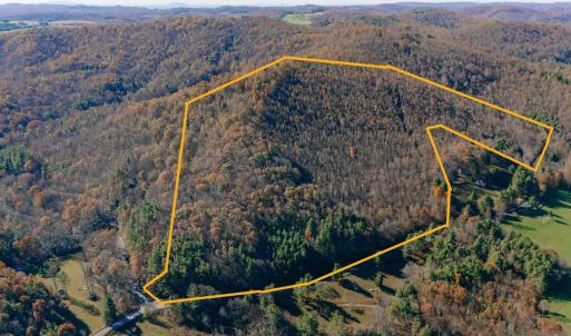 Puin boundary pic