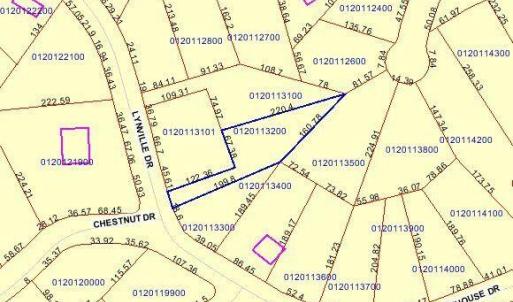 Lot 44 Lynville Dr. tax map outline
