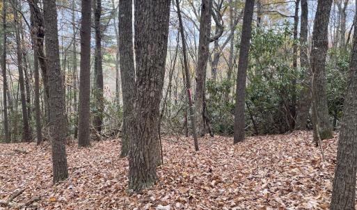 IMG_5436