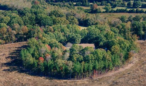 DJI_20251015105556_0046_D