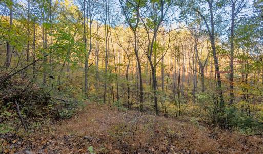 shawsville-4