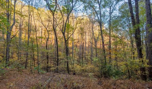 shawsville-5