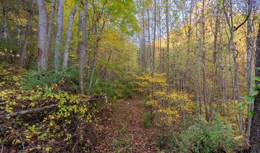 shawsville-6