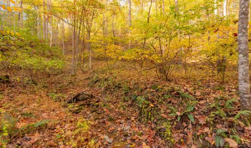 shawsville-10