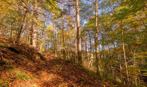 shawsville-14