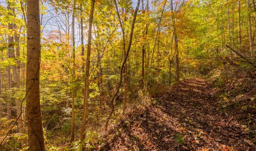 shawsville-19