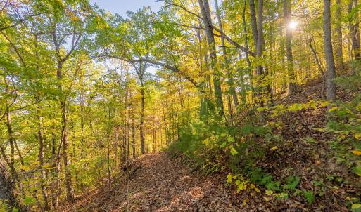 shawsville-23