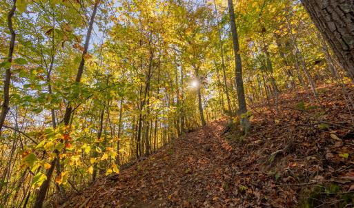 shawsville-24