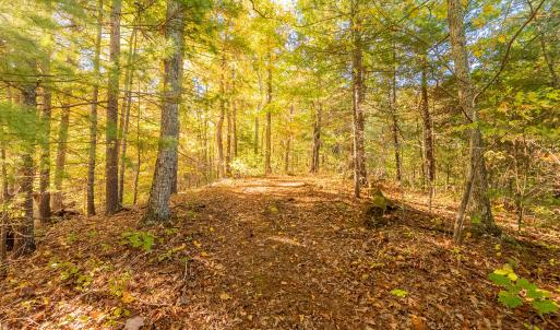 shawsville-25
