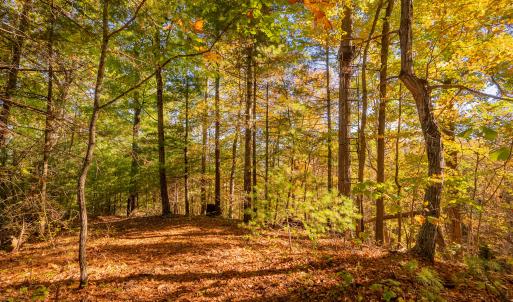 shawsville-26