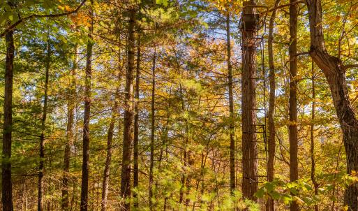 shawsville-27