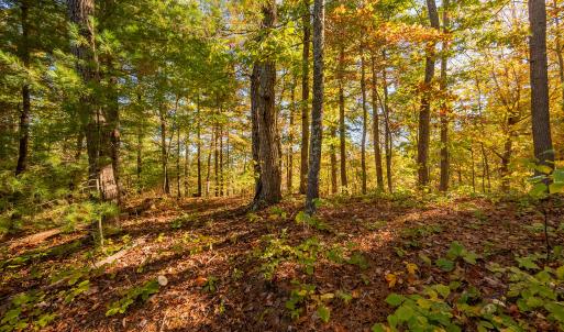 shawsville-28
