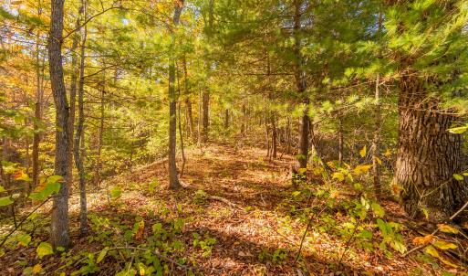 shawsville-29