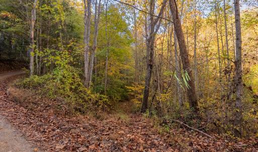 shawsville-34