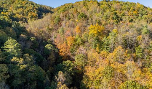 shawsville-35